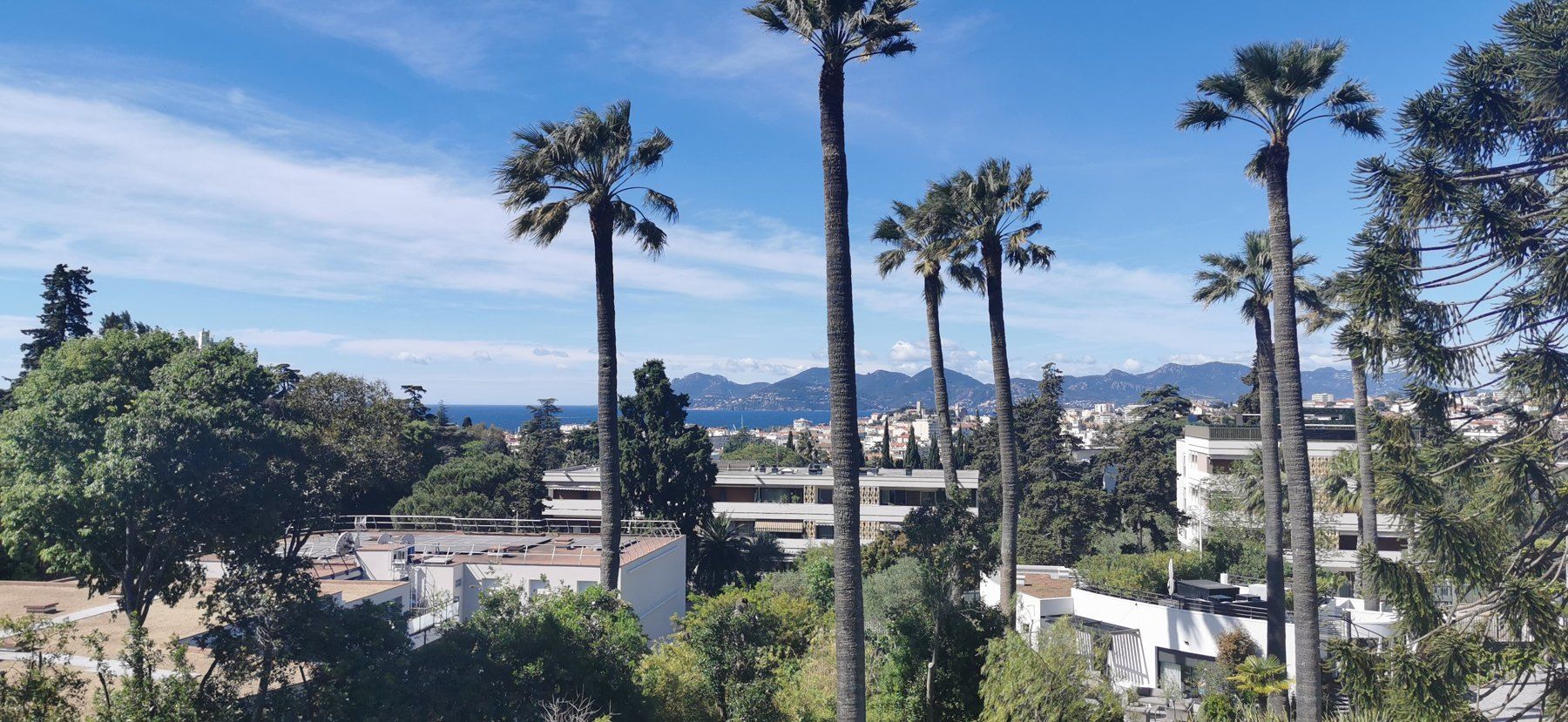 Domaine Californie, Cannes — photo 2