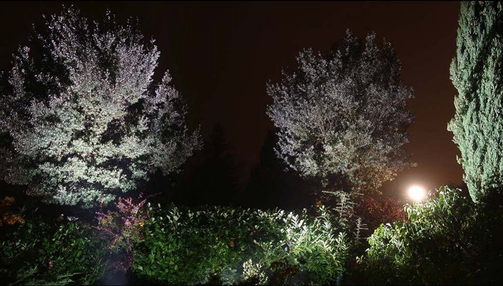 Jardin privé « Villa d'Ore », Régusse — vue 1