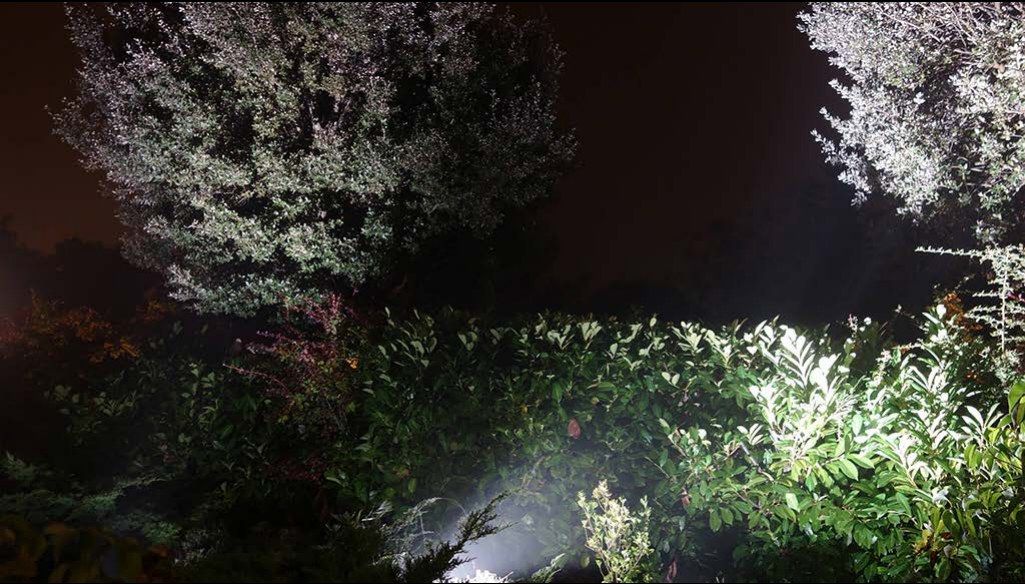 Jardin privé « Villa d'Ore », Régusse — vue 2